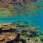 Mai Dive\' Astrolabe Reef Resort
