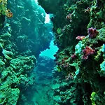 Mai Dive\' Astrolabe Reef Resort