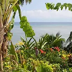Coconut Grove Beachfront Cottages
