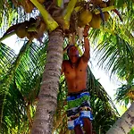 Maqai Beach Eco Resort