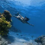 Mantaray Island Resort