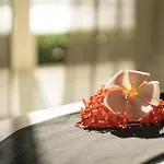 Raiwasa Grand Villa