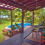 Tropical Splendor