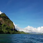 Tropical Splendor