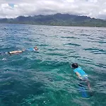 Tropical Splendor