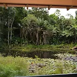 Rainforest Eco Lodge