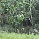 Rainforest Eco Lodge