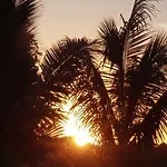 Bayview Cove Resort