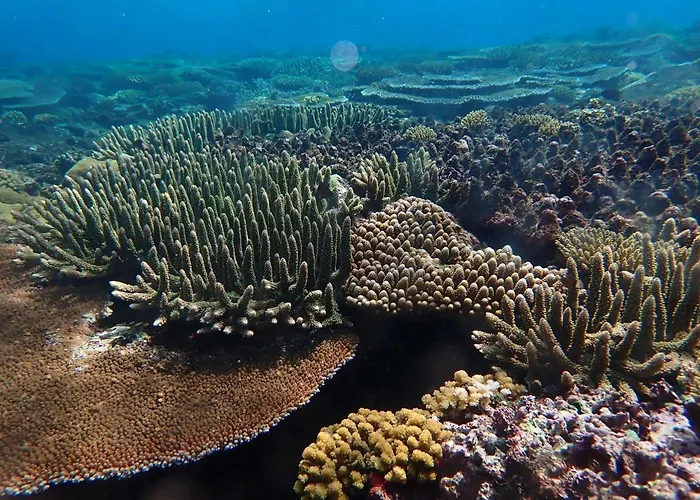 Fiji Lodge Vosa Ni Ua
