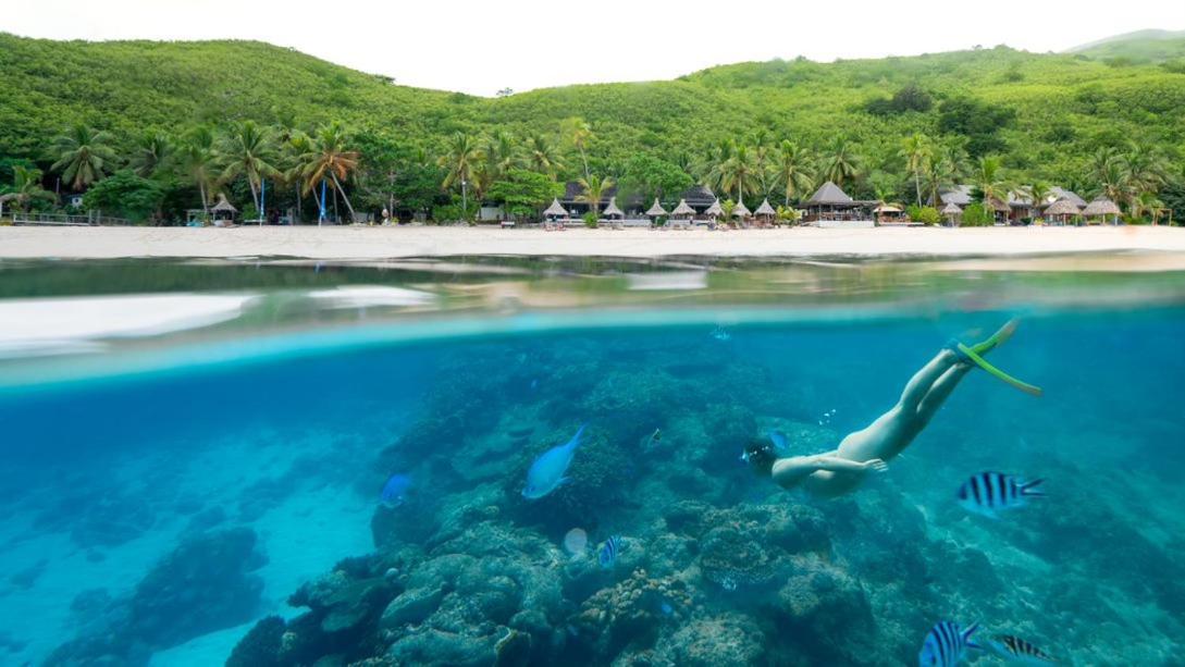 Octopus Resort 4*