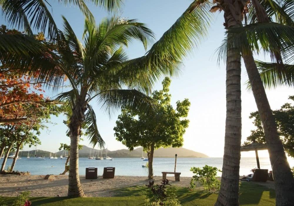 Island 3*