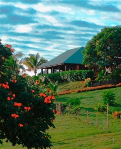 Hotel Palmlea Farms And Bures Vatutandova