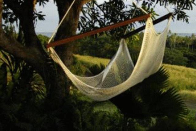 Hotel Palmlea Farms And Bures 3*