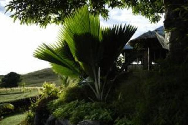 Hotel Palmlea Farms And Bures