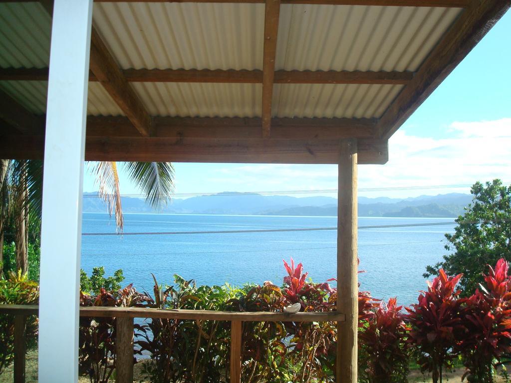 Lodge Gecko Fiji Savusavu