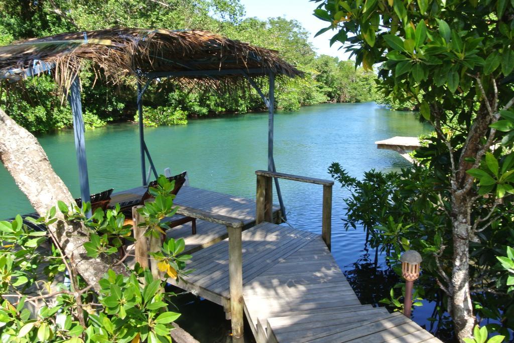 Salt * Savusavu
