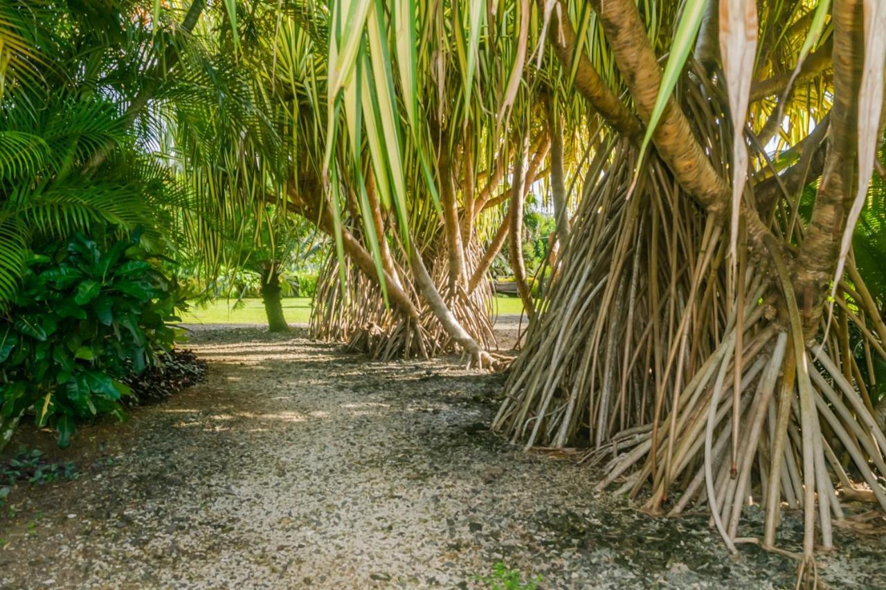 Hotel Aroha Taveuni Beachfront Bures Waiyevo