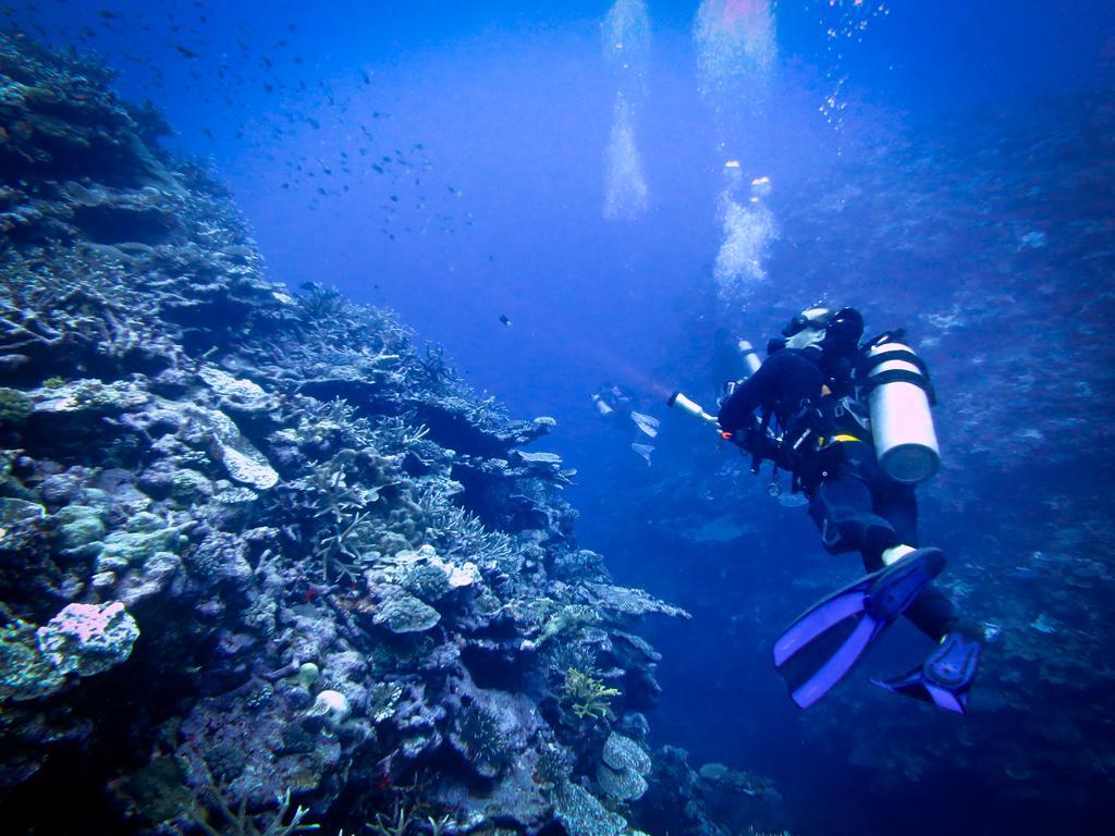 Mai Dive' Astrolabe Reef