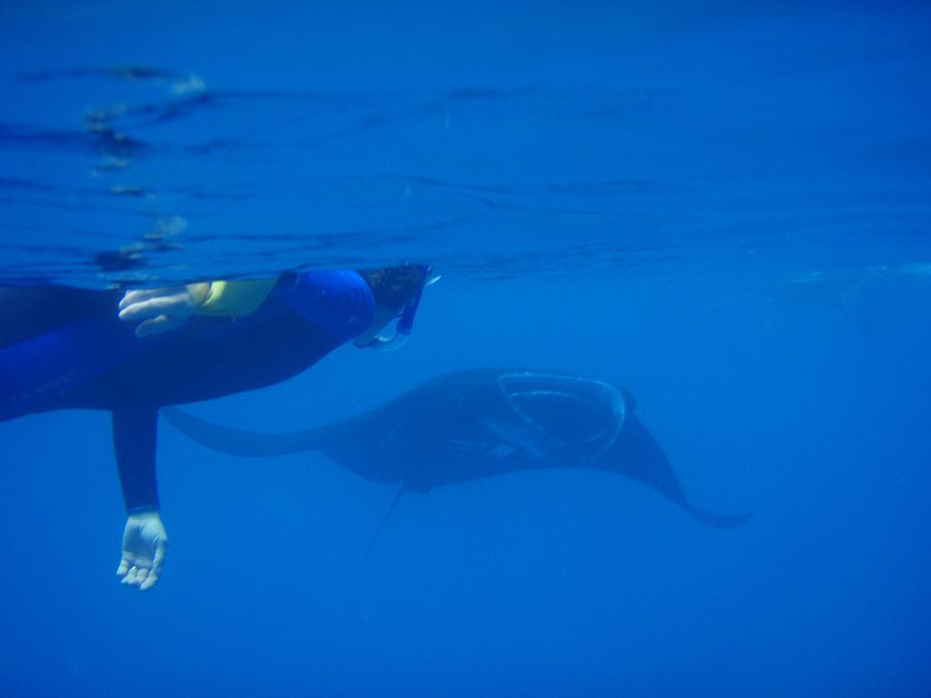 Mai Dive' Astrolabe Reef 4*