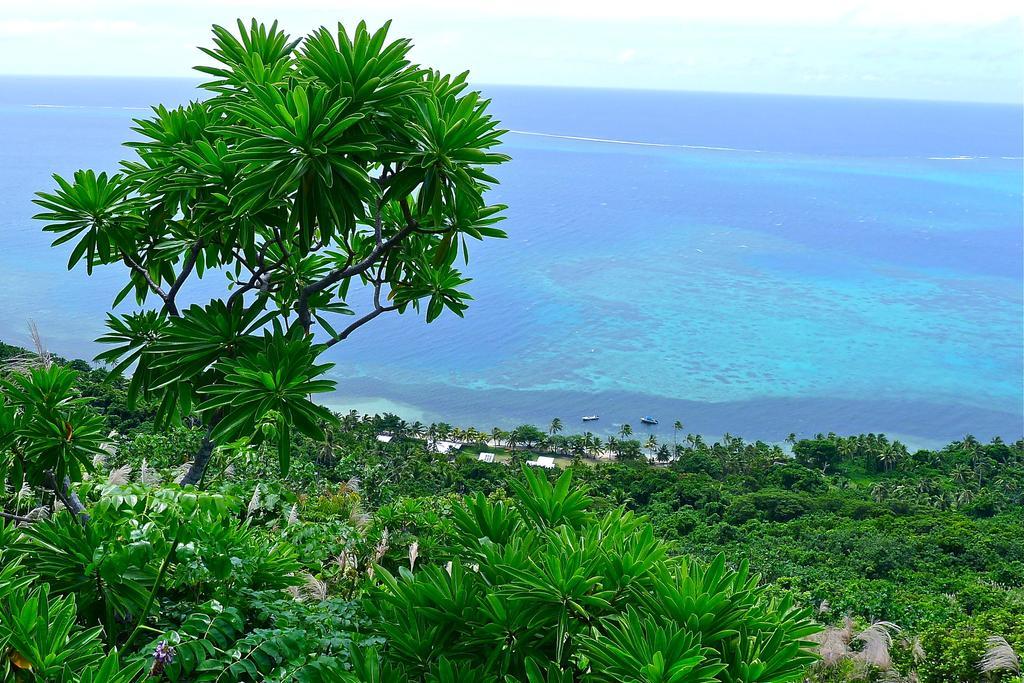 Mai Dive' Astrolabe Reef 4*