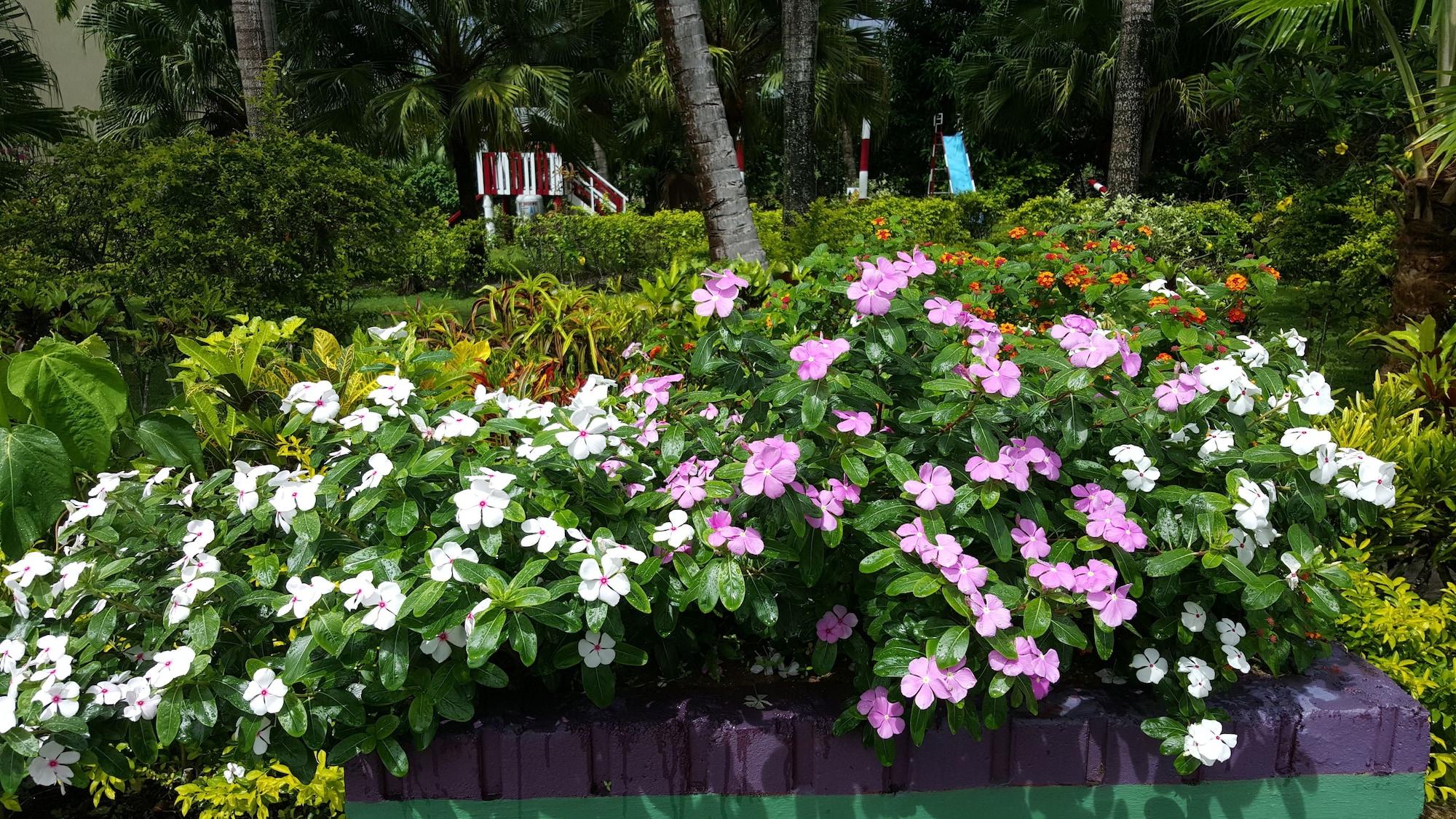 Grand West Hotel Nadi