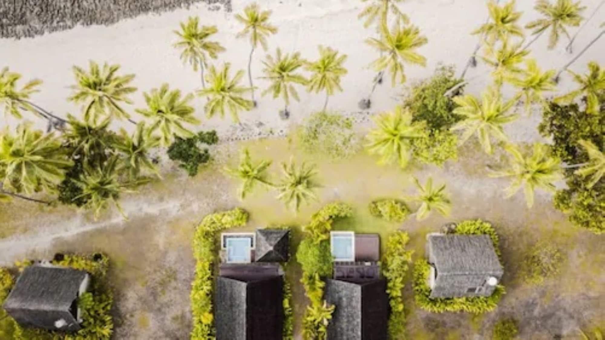 Tambua Sands (adults Only) Hotel 3*