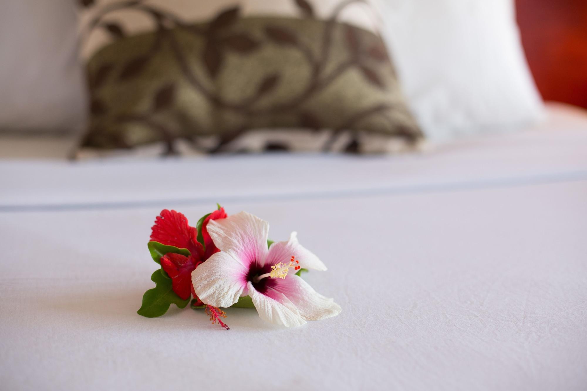 Anchorage Resort 3*