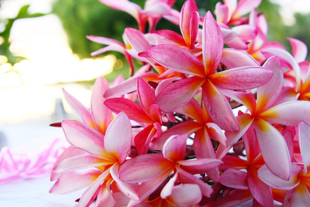 Resort Anchorage Lautoka