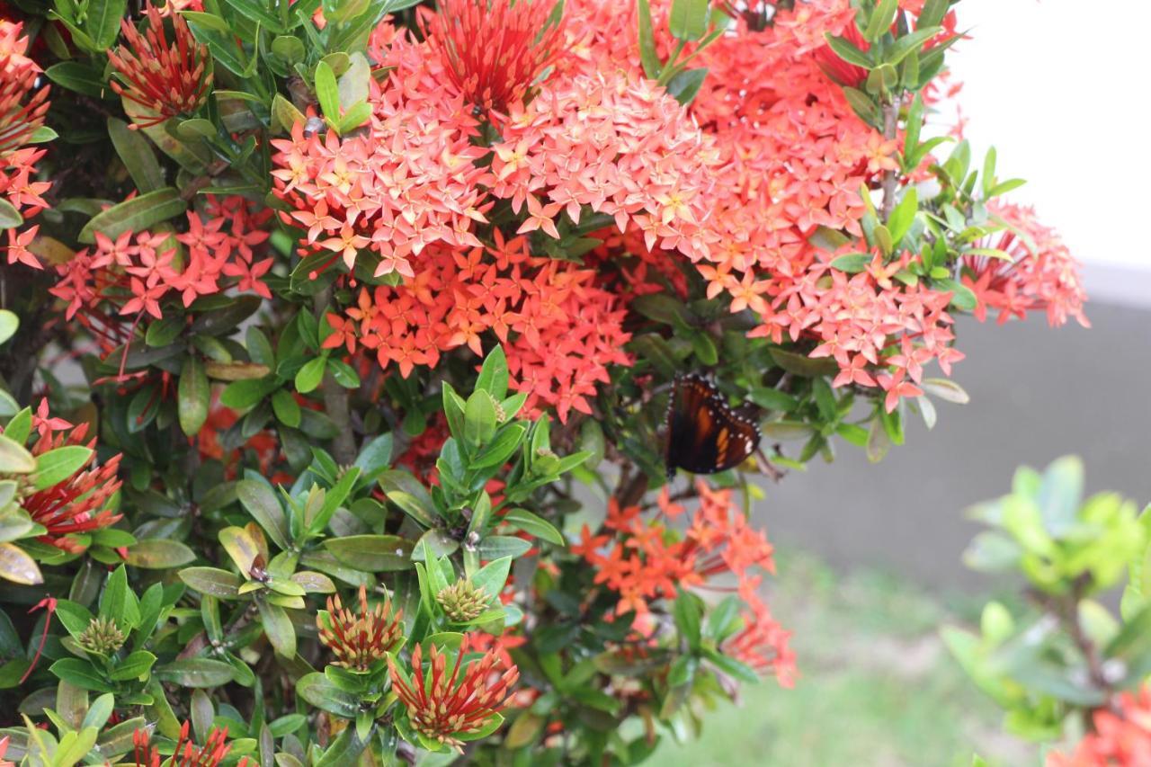 Lander's Bay 4* Lautoka