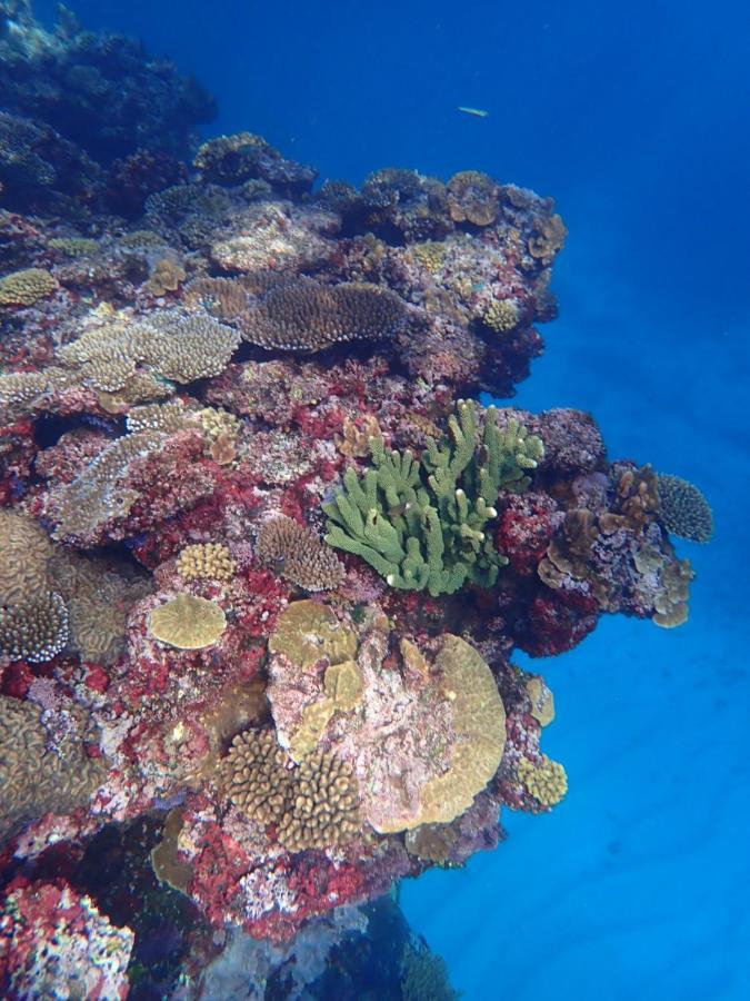 Lodge Fiji Lodge Vosa Ni Ua Savusavu