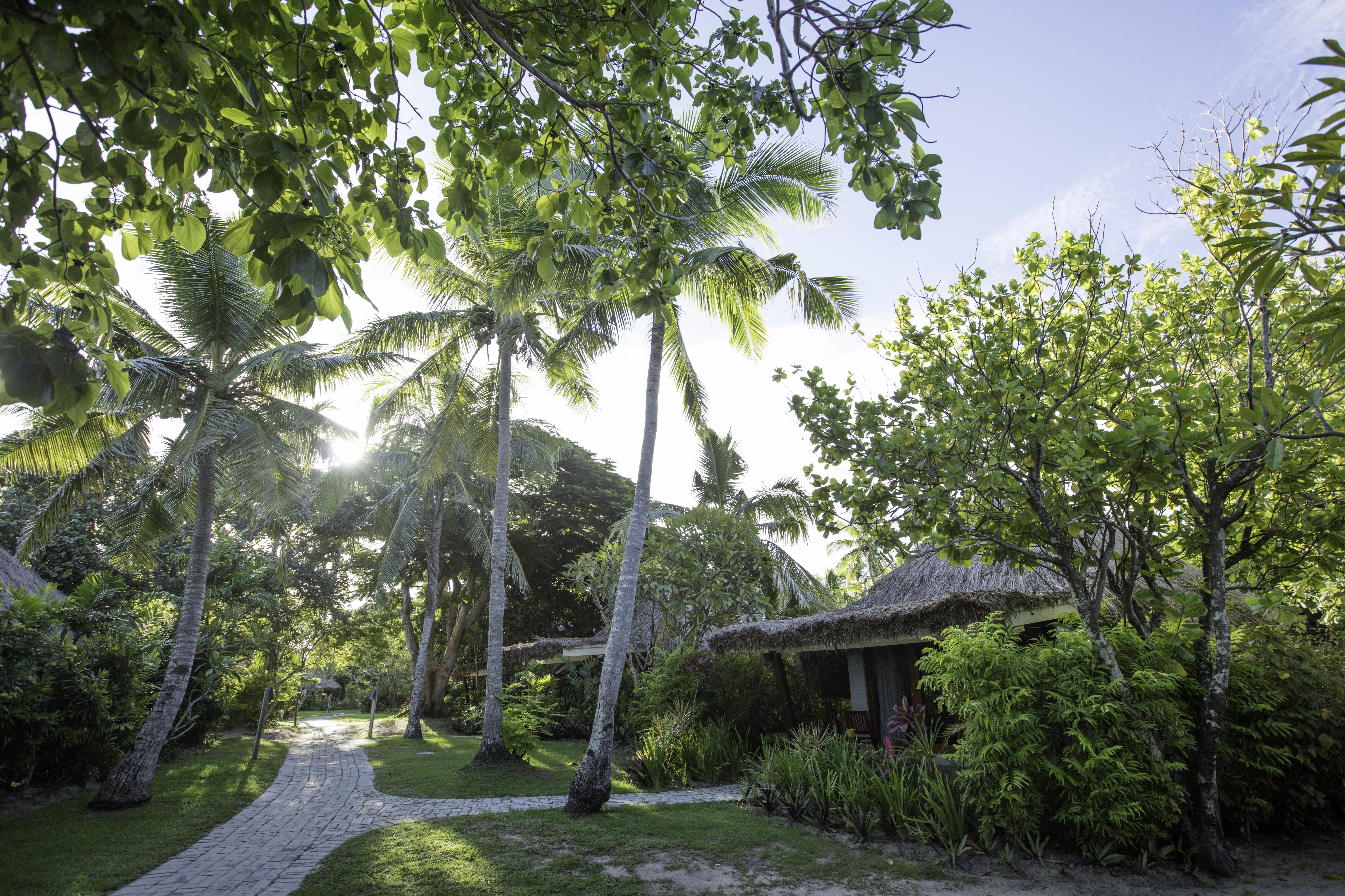 Castaway Island, Fiji Resort 4*
