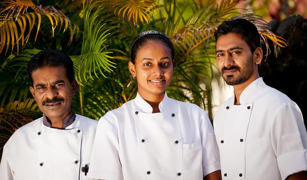 Gecko's 3* Sigatoka