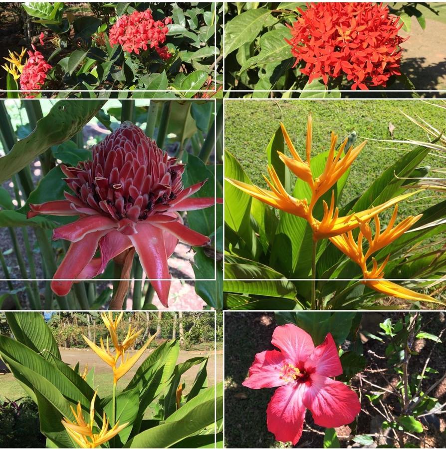 Holiday home Island Breeze Fiji Savusavu