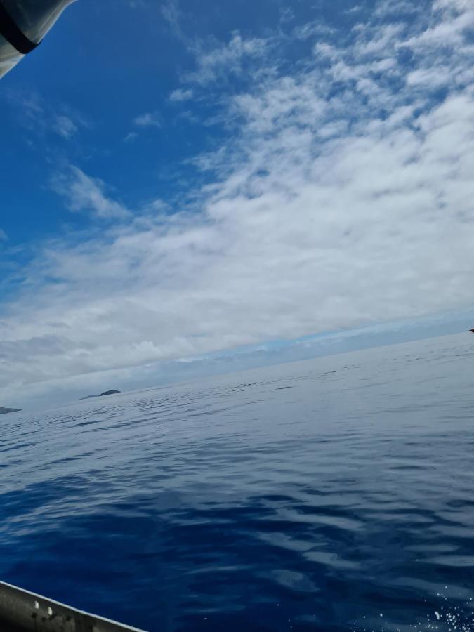 Backpackers And Dive Resort Mana Island