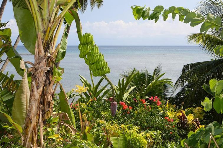 Coconut Grove Beachfront 4*