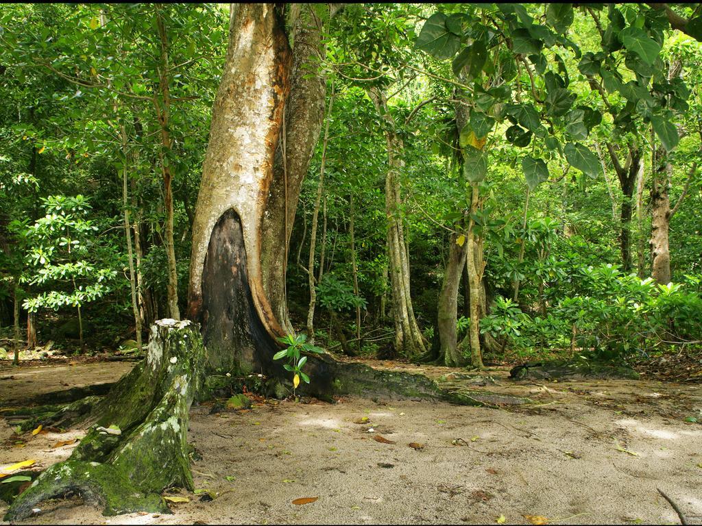 Matangi Private Island - Adults Only Matangi Island