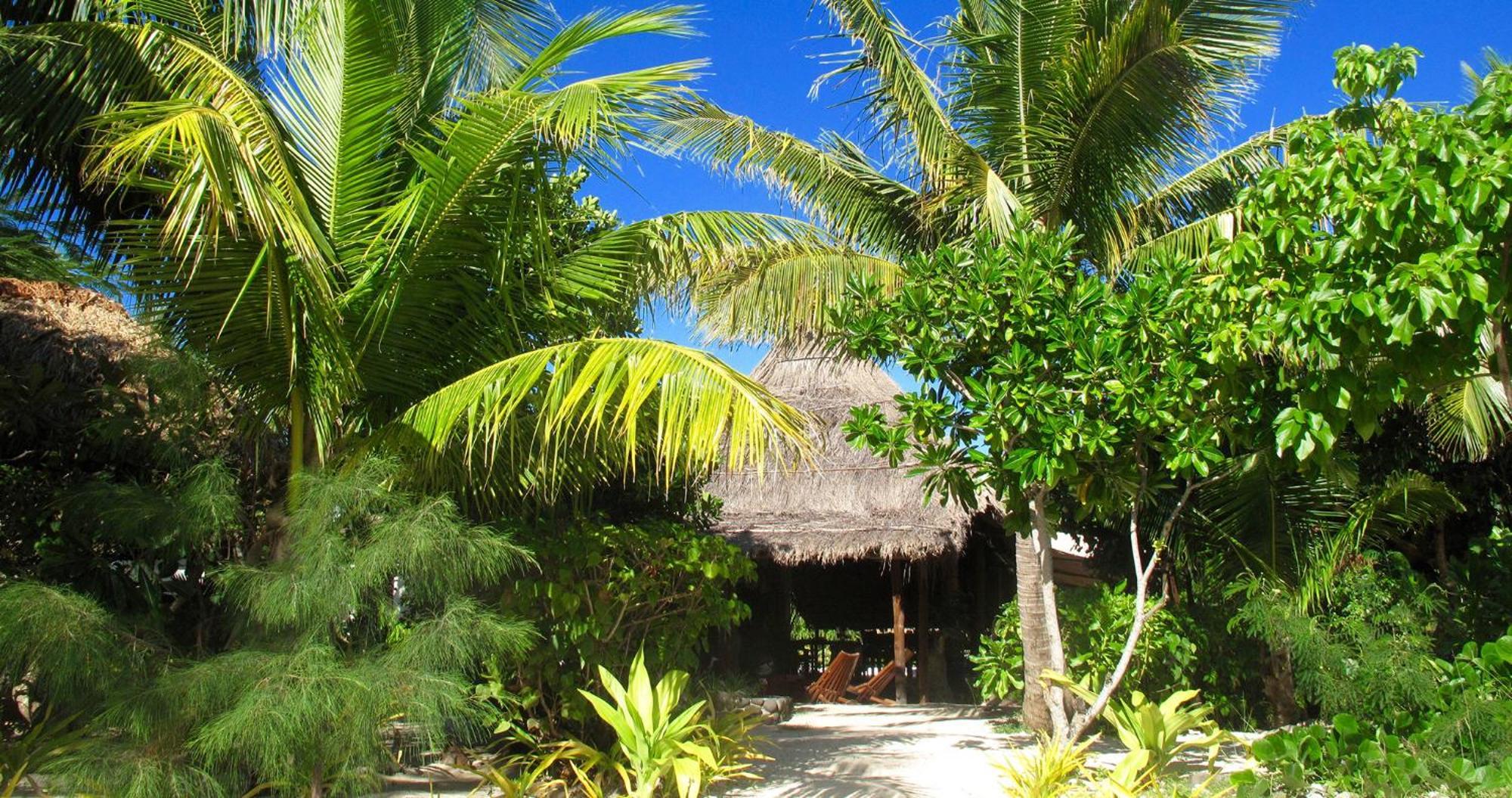 Resort Navutu Stars