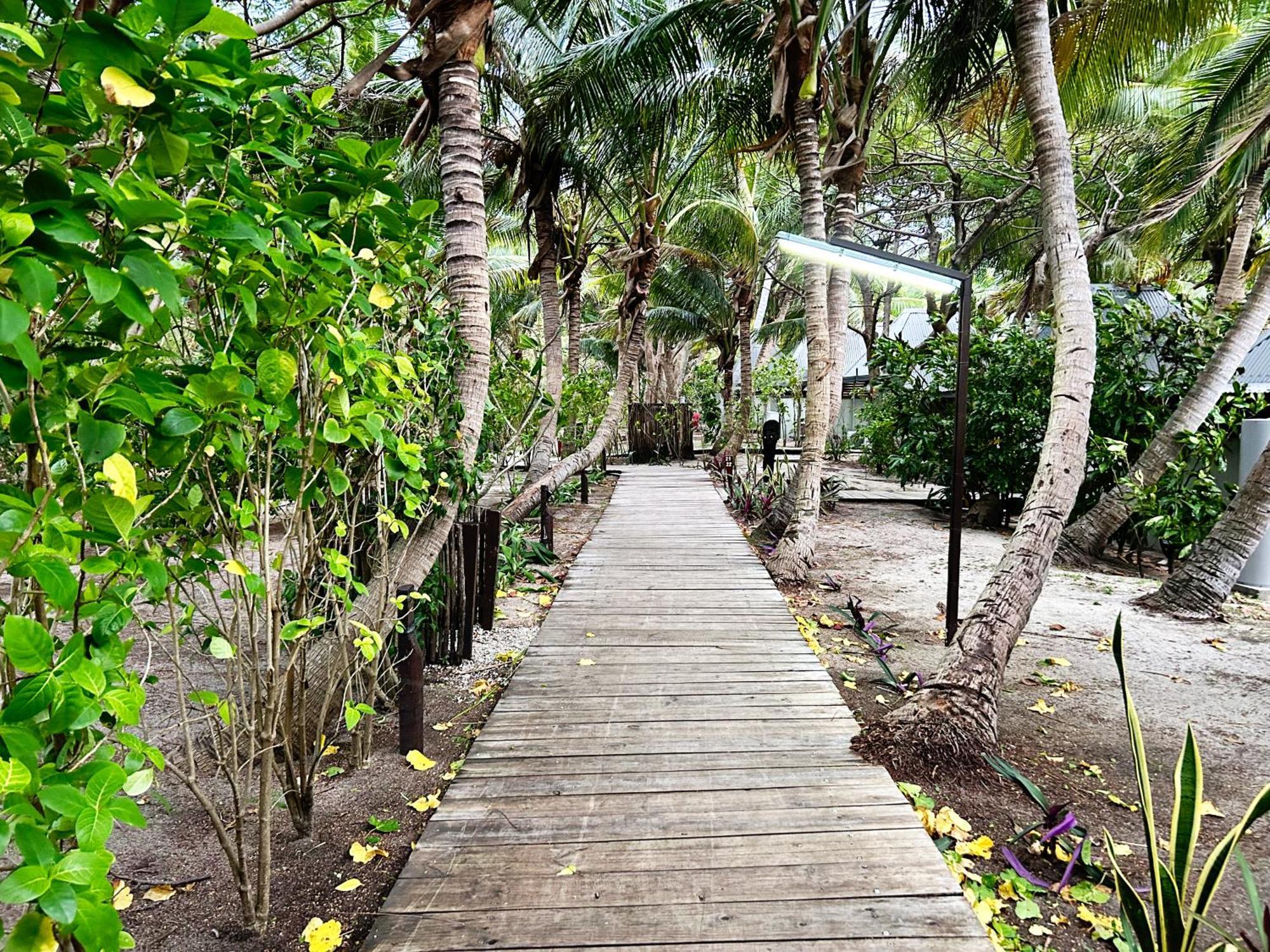 Serenity Island Kadavulailai (Bounty)