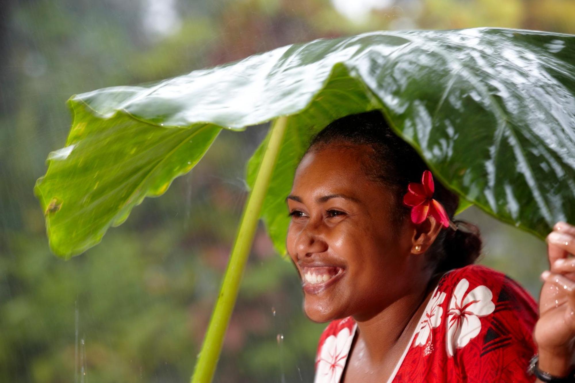 Koro Sun & Rainforest Savusavu