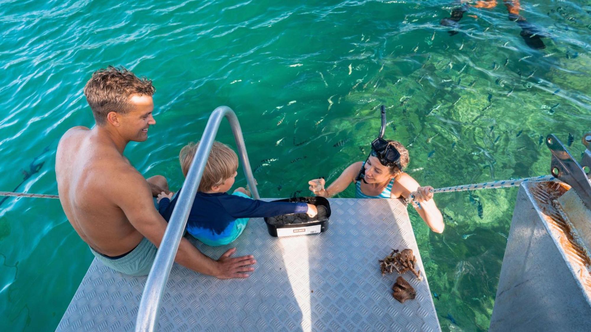 Intercontinental Fiji Golf & By Ihg 5* Natadola