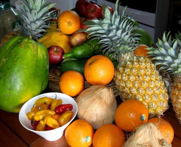 Hotel Aroha Taveuni Beachfront Bures Waiyevo