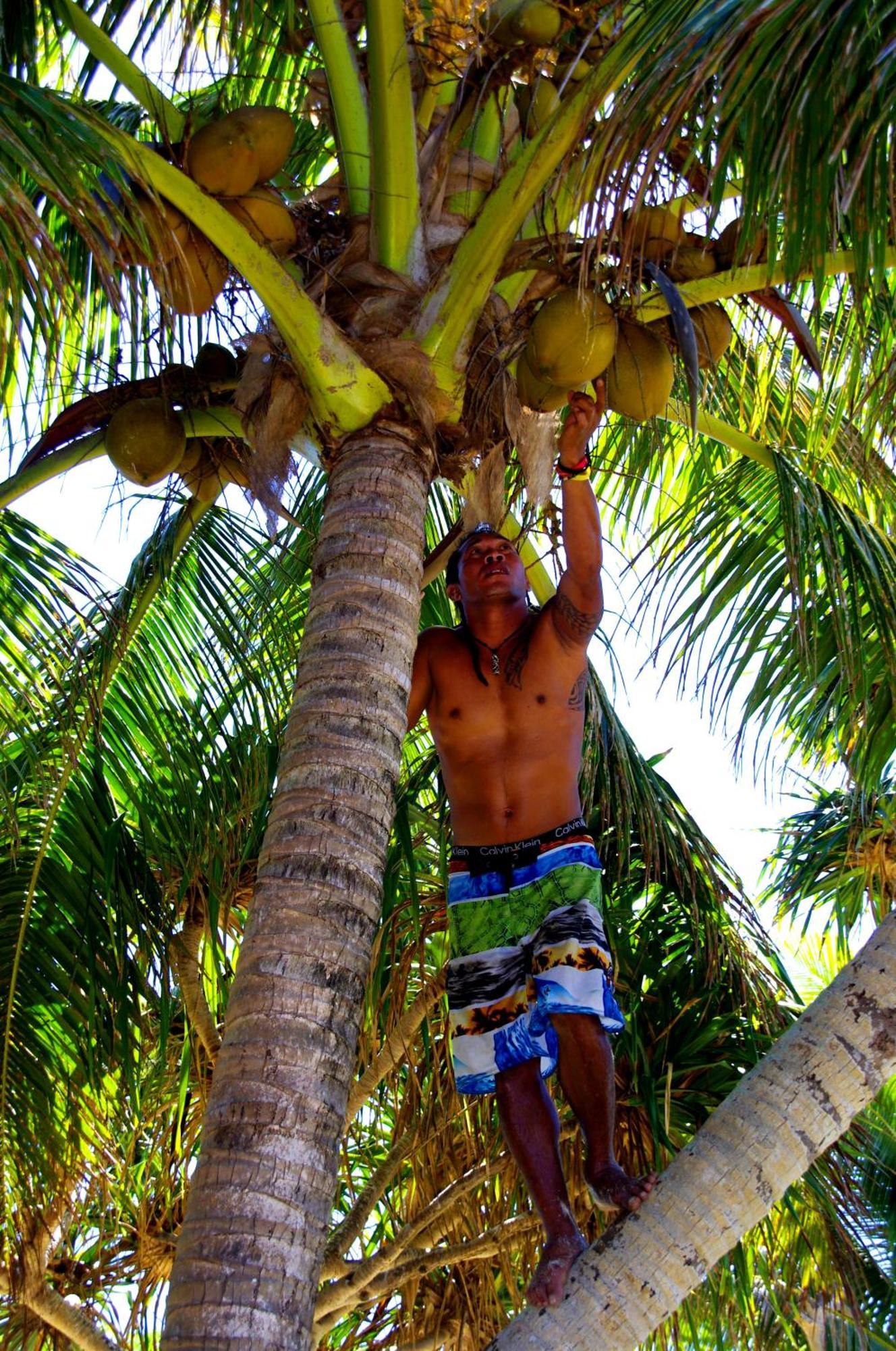 Bamboo Backpackers *