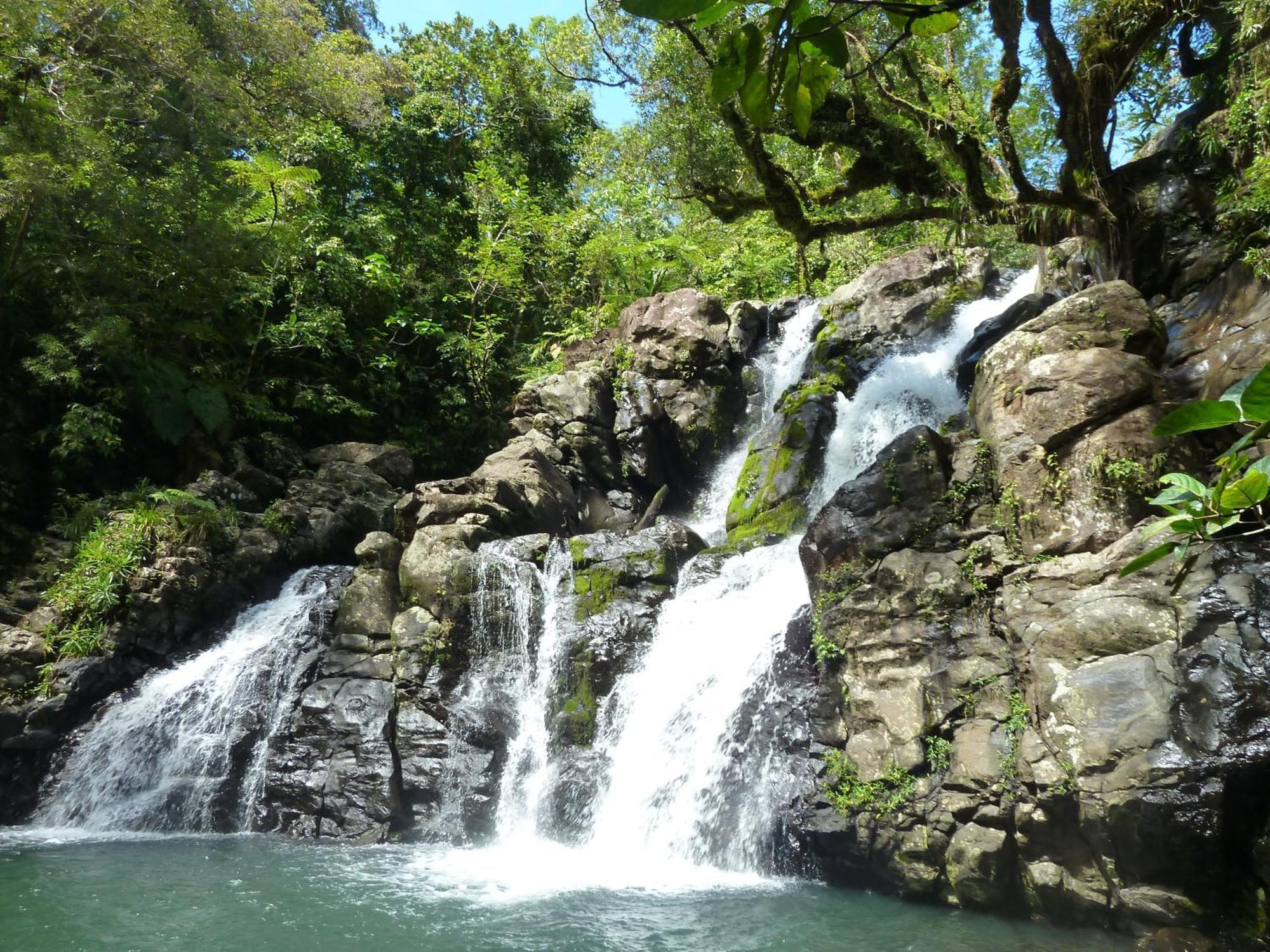 Villa Maravu Taveuni Matei