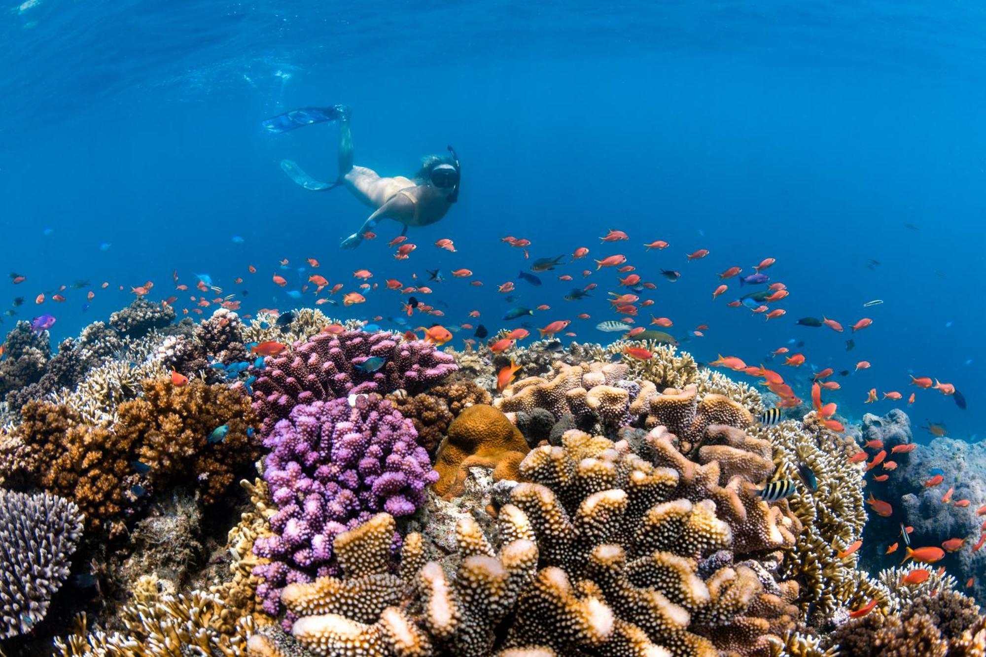 Resort Beqa Lagoon