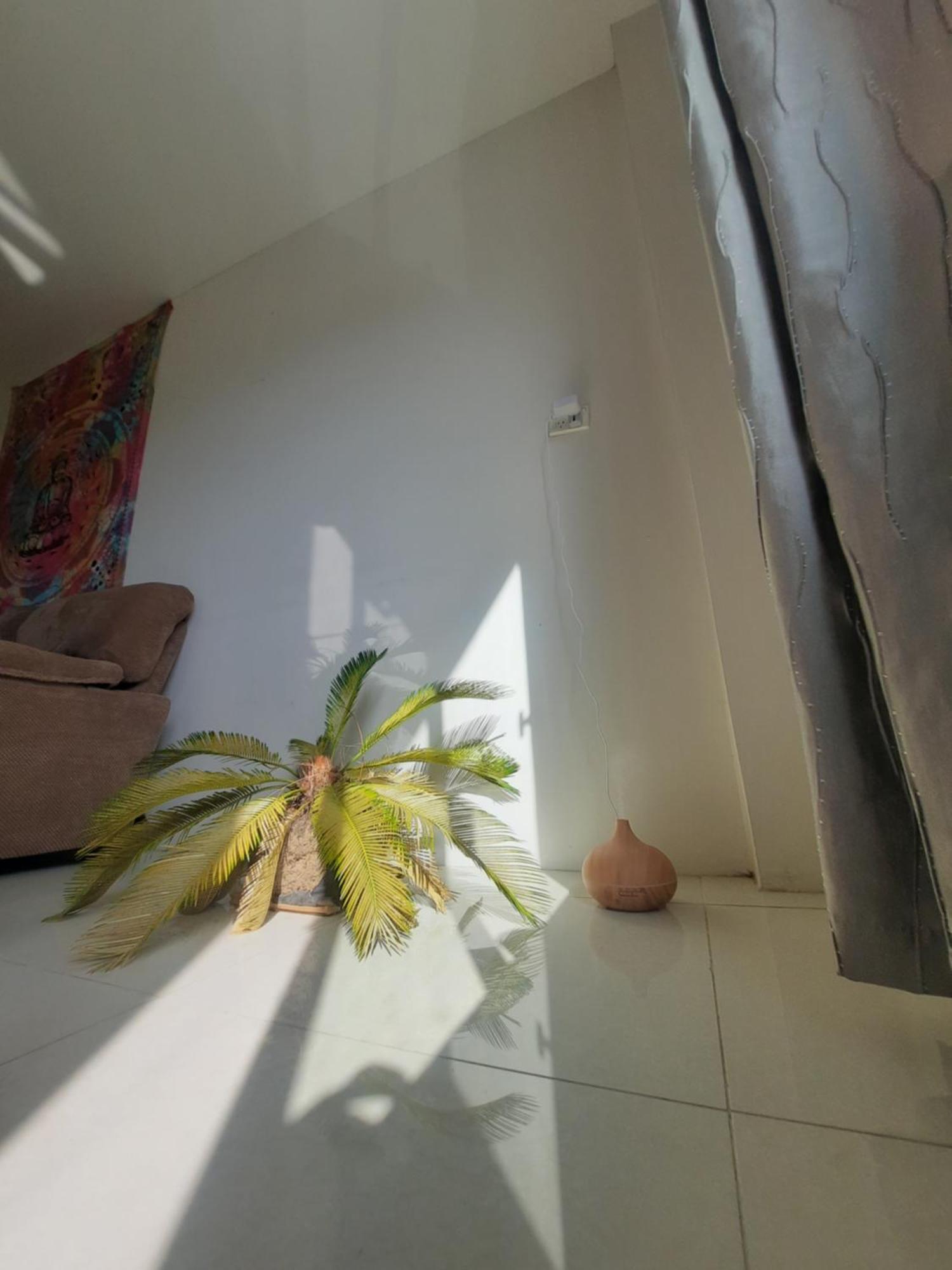 Bula Bliss With Sunset View Apartment
