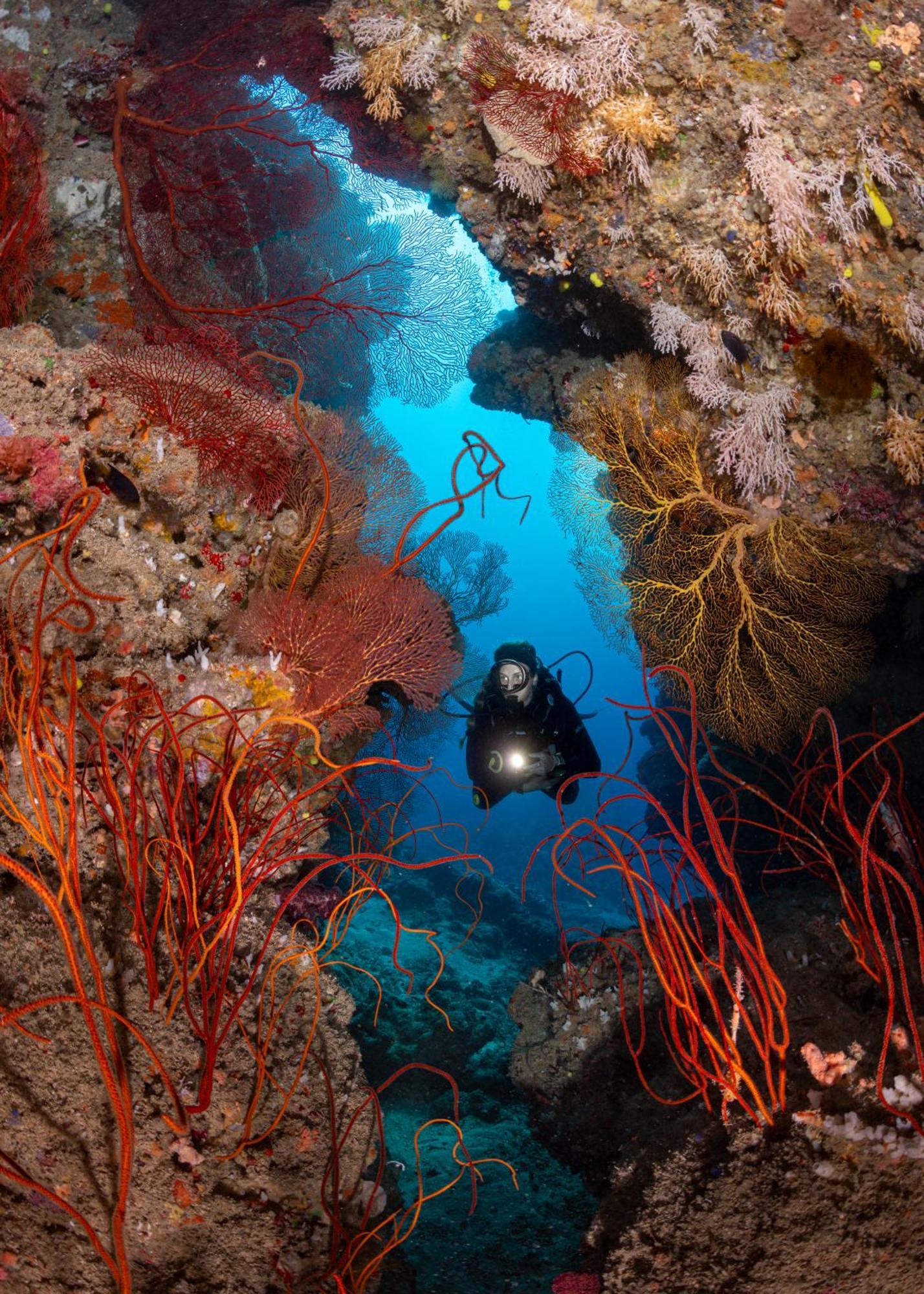 Waidroka Bay Deuba