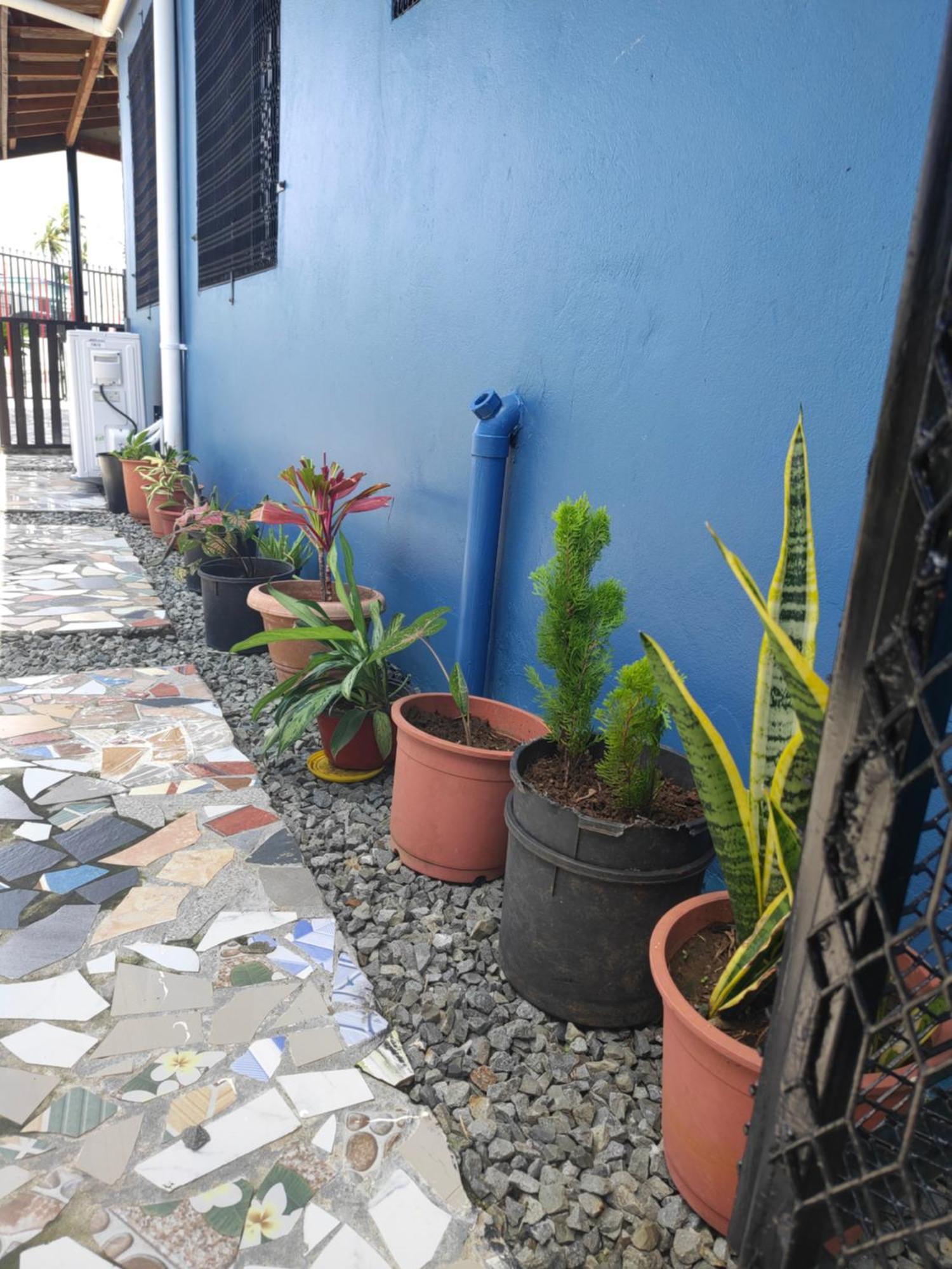 Guest house Peace Hut *