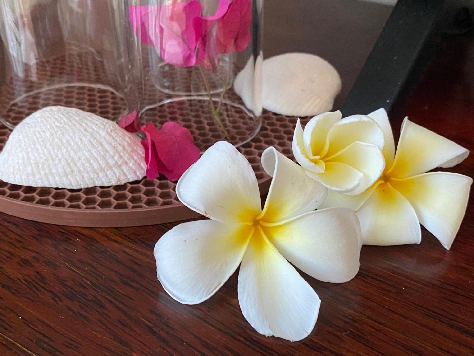 Apartment Coral Coast Fiji *