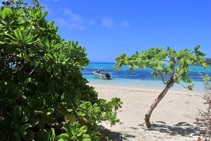 Resort Coconut Beach Tavewa Island