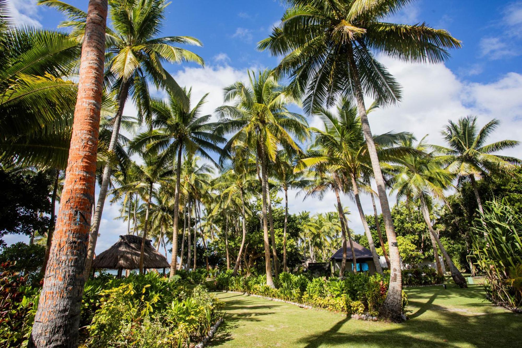 Coconut Beach 3*